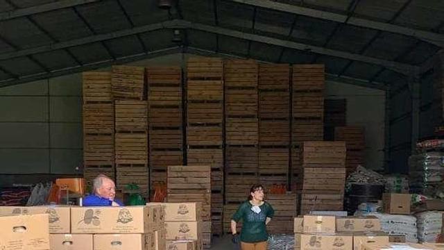 Patatas empaquetadas para entrega online. // FdV