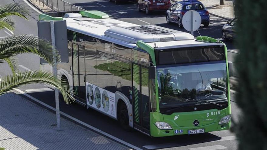 Una garantía insuficiente y limitación a ofertas más económicas en el autobús