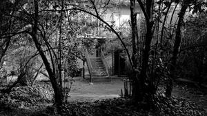 El jardín con la escalera de hierro colado de la Casa Amatller, en el año 1970. 