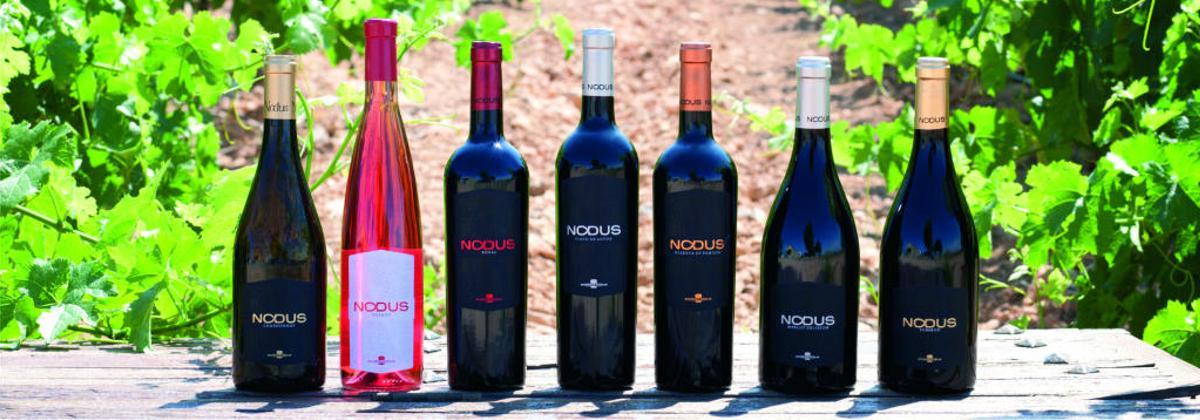 Bodegas Nodus: disfruta del enoturismo personalizado