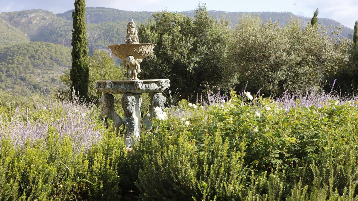 Dieser Garten auf Mallorca trägt nicht zur Erderwärmung bei