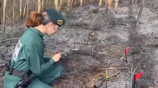 La Guardia Civil investiga a una mujer por cinco incendios forestales en Muxía (A Coruña)