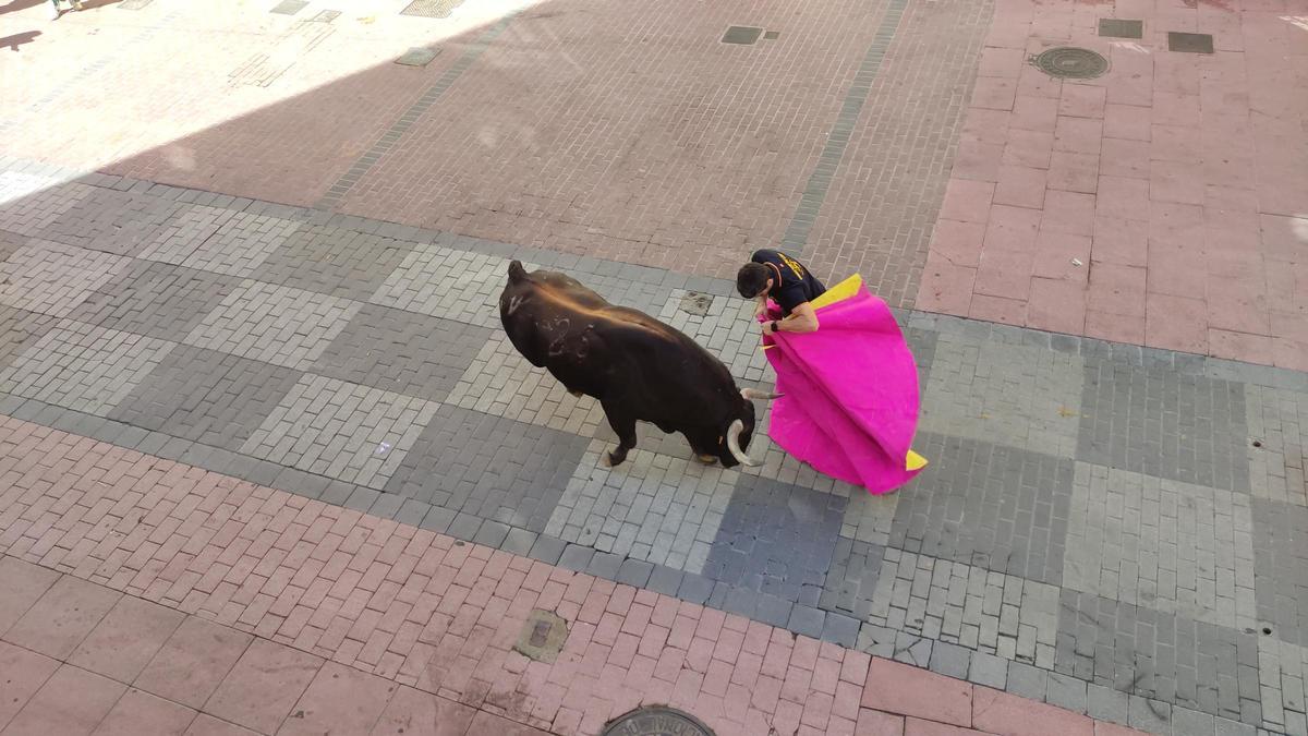 GALERÍA: El toro del cajón de La Reata, de las fiestas de Benavente, en imágenes