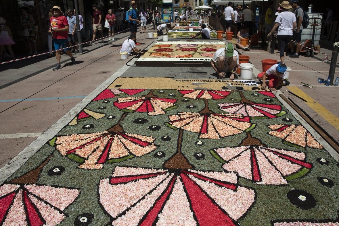 Catifes de flors d'Arbúcies