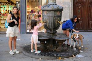 Tres mujeres y un perro se refrescaban en Barcelona el pasado 25 de junio, en plena ola de calor.