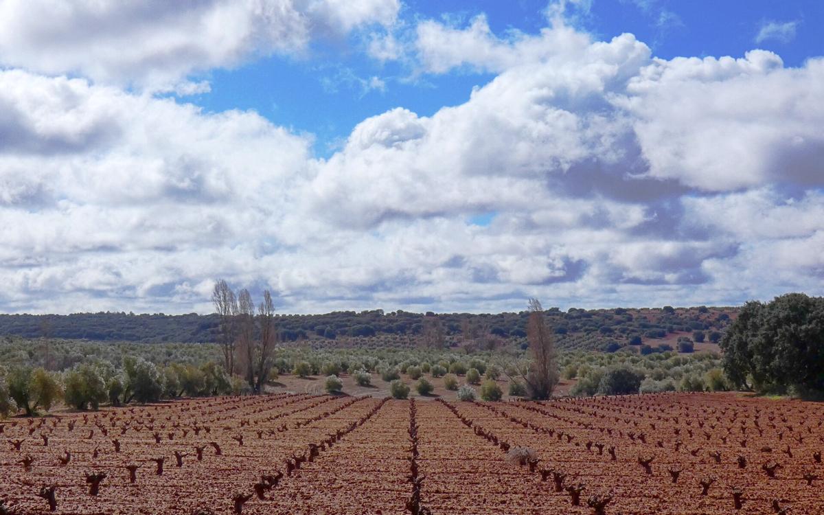 Situado en el extremo sureste de la provincia de Ciudad Real, este pueblo forma parte del Campo de Montiel
