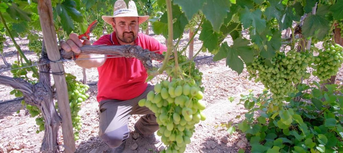 Regantes del trasvase se quedan sin agua tras el fin del caudal de socorro