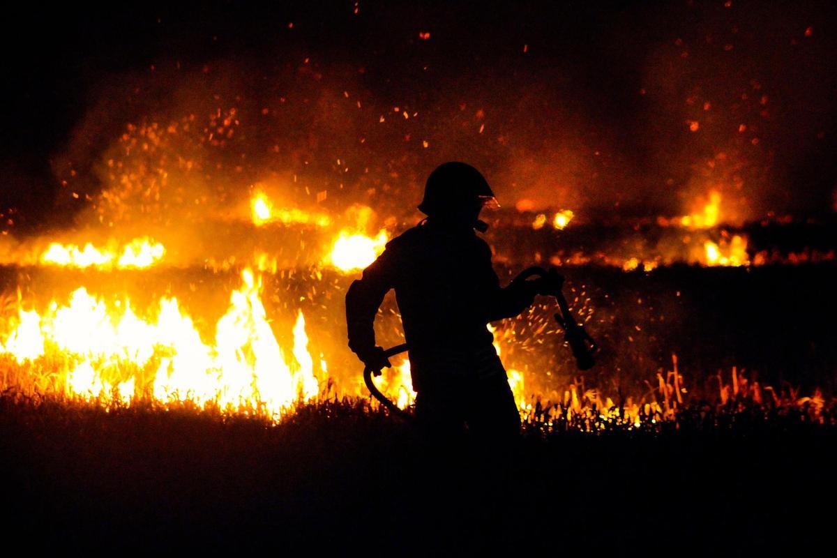 El número de incendios forestales se está multiplicando a causa del cambio climático.