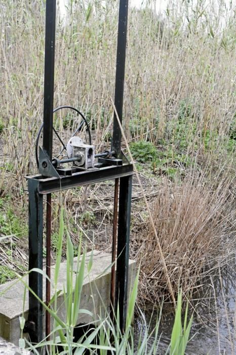 Das Naturschutzgebiet S'Albufera wird 30 Jahre alt - und steckt in einer tiefen Krise. Umweltschützer schlagen Alarm, die Politik bleibt weitgehend untätig.