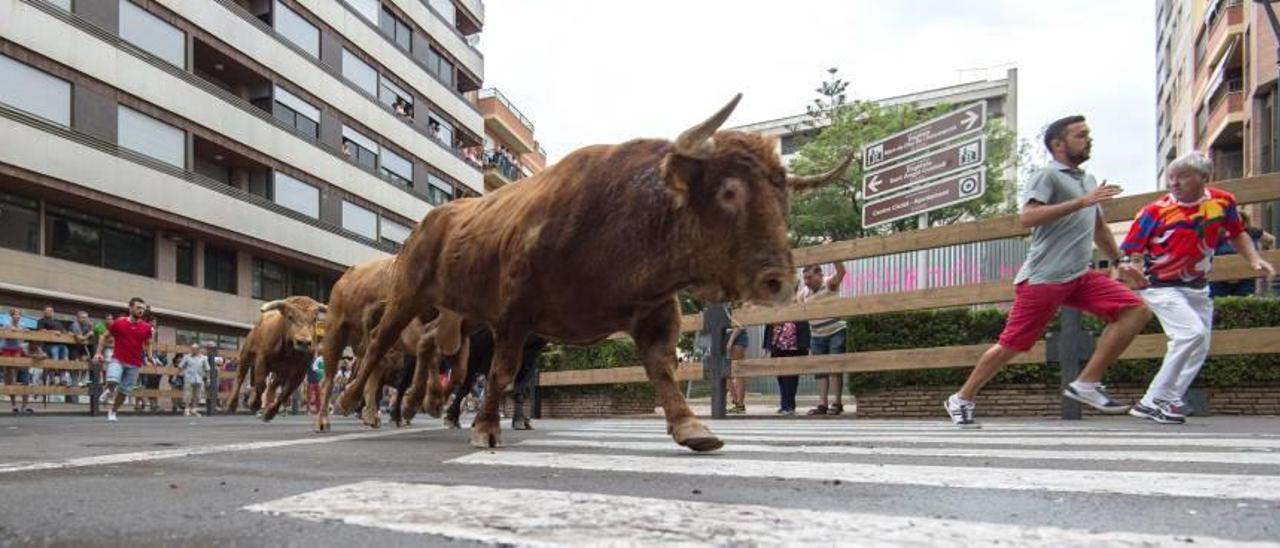 &quot;Procesión taurina&quot; en defensa del &quot;bou embolat&quot;