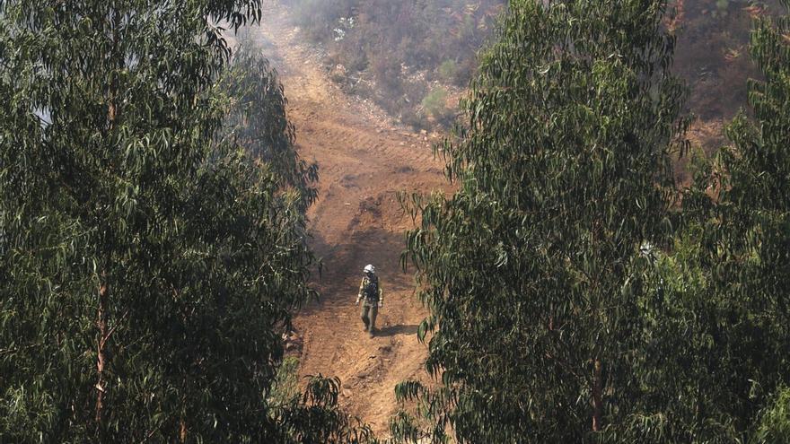 Comienza la inspección de franjas secundarias sin limpiar con una comarca en riesgo moderado de incendios