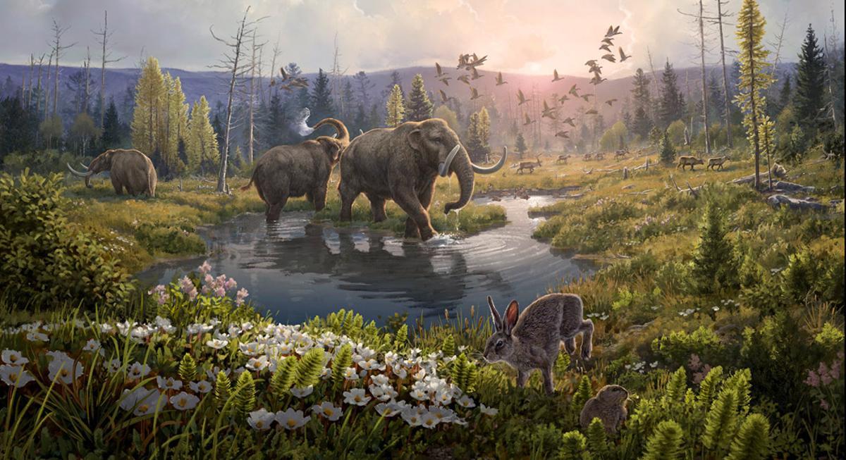 L’ADN més antic descobreix a Groenlàndia un món perdut de fa 2 milions d’anys