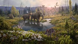 L’ADN més antic descobreix a Groenlàndia un món perdut de fa 2 milions d’anys