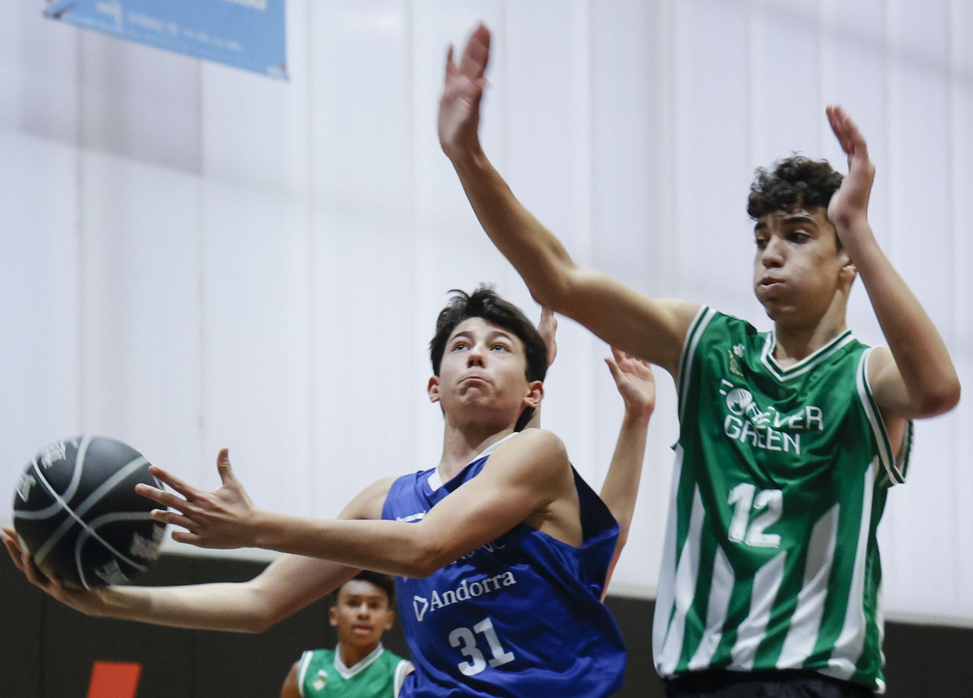 Minicopa Endesa en l&#039;Alqueria del Basket