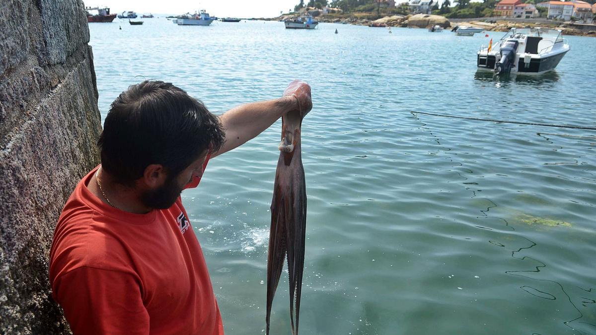 Un hombre muestra un pulpo en el puerto de A Illa.