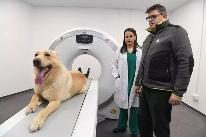 Abre en Galicia el primer hospital veterinario del norte de España