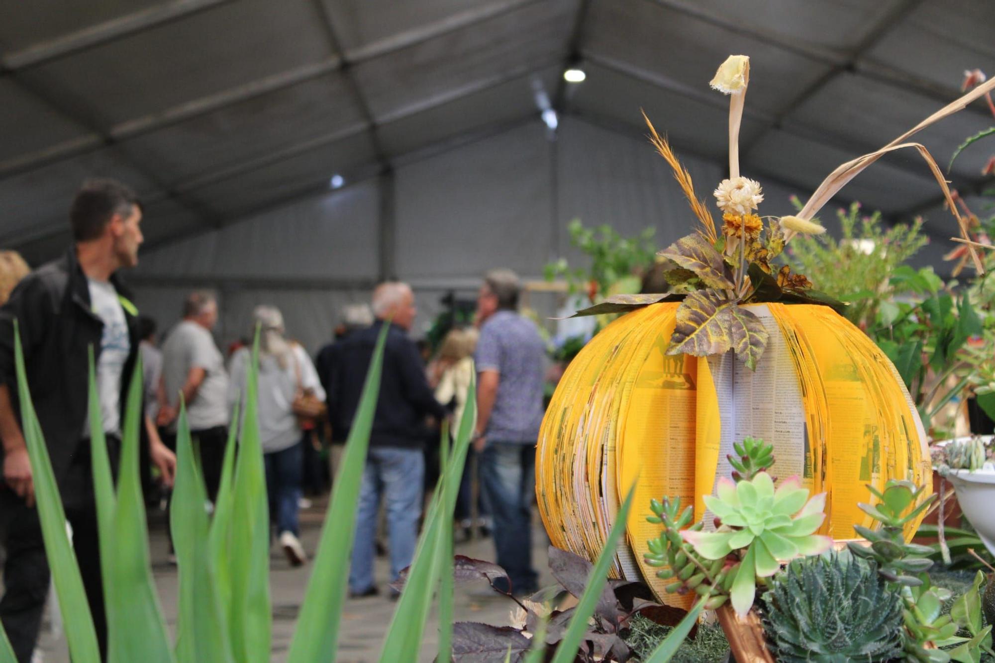 Sama celebra el III Certamen de la Huerta "Llangréu Natural"