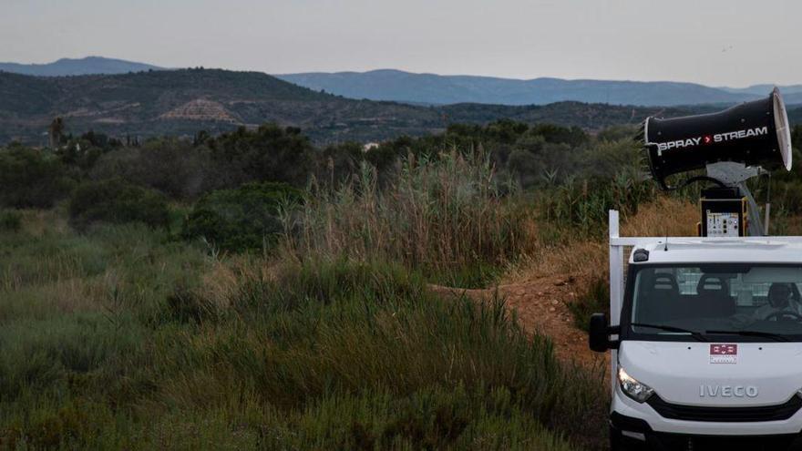 La Diputación de Castellón intensifica la lucha contra el mosquito ante las lluvias de septiembre