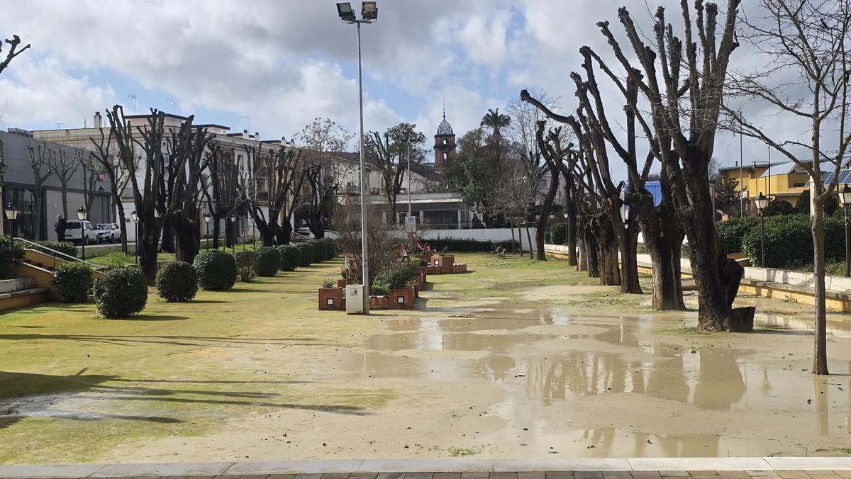 Avenida Caladancio en Villa del Río.