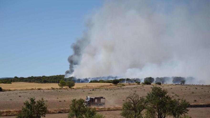 Arden 3 hectáreas de matorral en el antiguo campo de tiro de l&#039;Alcora