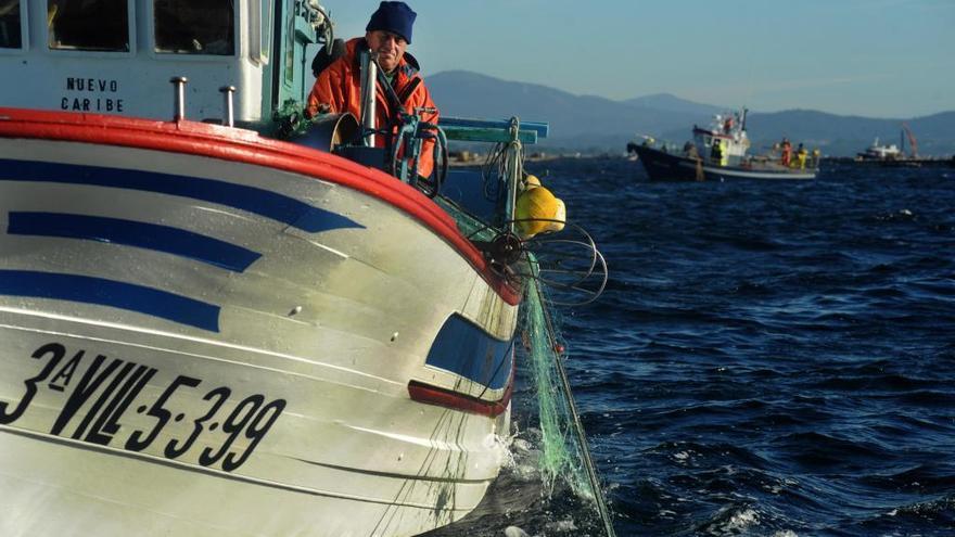Prohibido pescar centollo en las provincias de Pontevedra y A Coruña