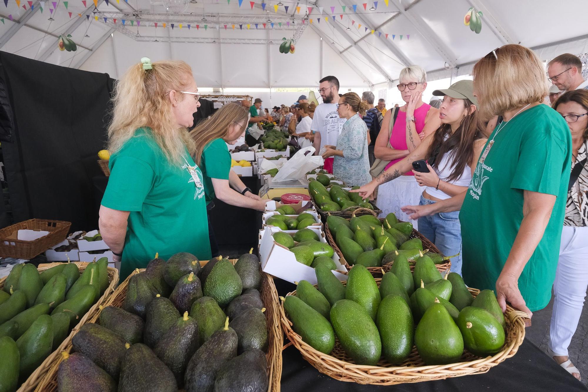 04-11-2024 MOGÁN. IX Feria del Aguacate de Mogán, en Arguineguín  | 01/12/2024 | Fotógrafo: Andrés Cruz