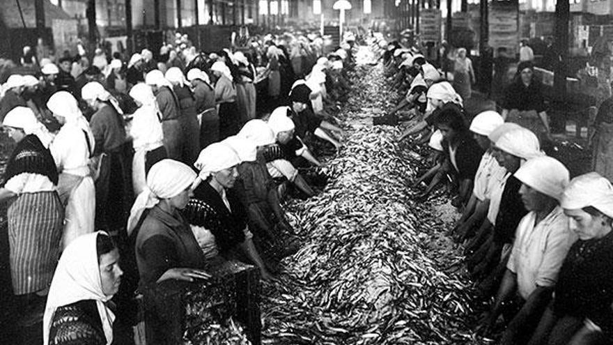 Limpieza del pescado en la fabrica de conservas de Massó, en Bueu, en 1920