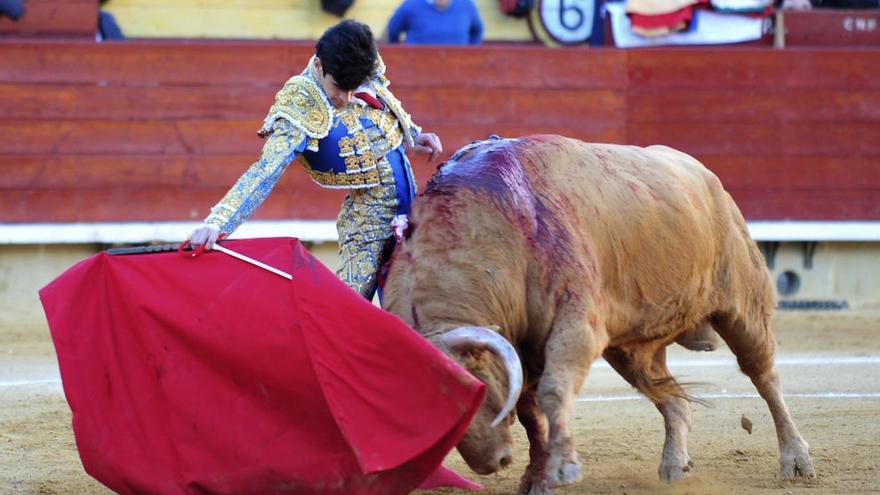 Sigue en directo la corrida de toros de la Feria de Julio