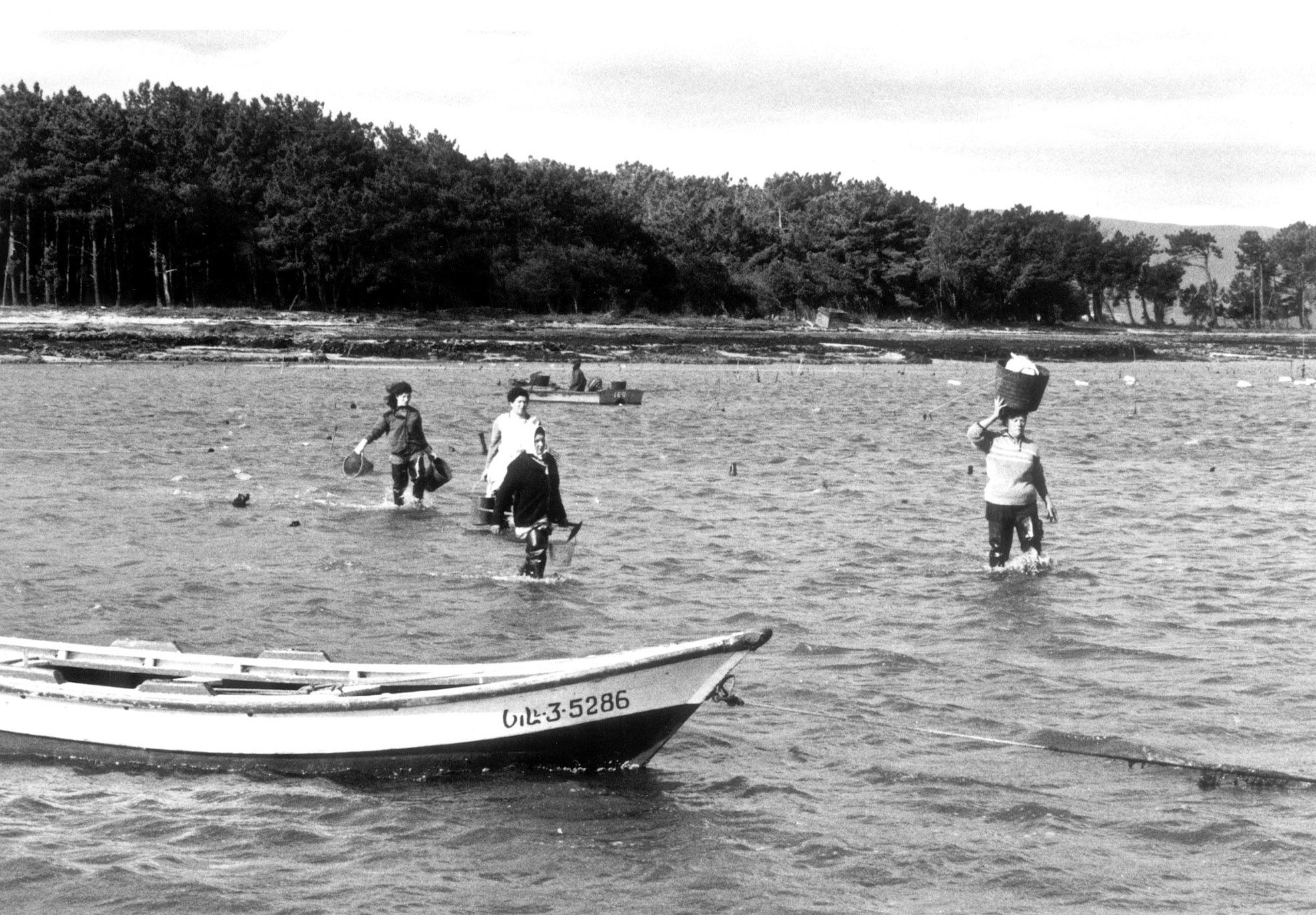 Mariscadores de Carril en 1993