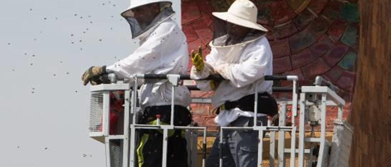 Bomberos al rescate de abejas