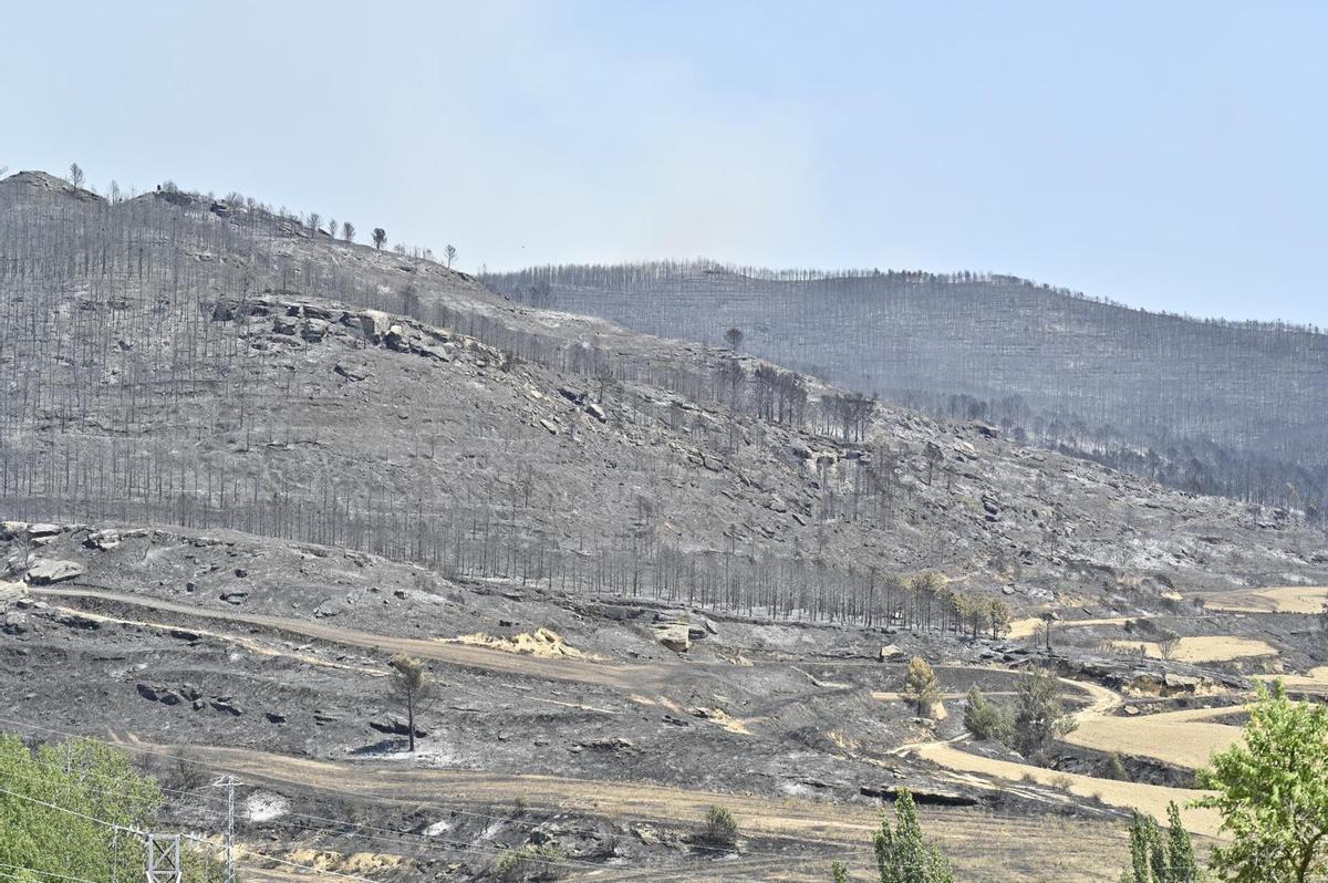 En imágenes | El incendio de las Cinco Villas asciende ya a 12.600 hectáreas y seis pueblos continúan evacuados