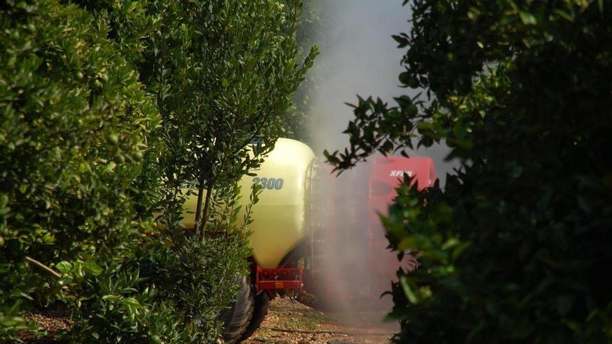 La Comisión Europea propone límites máximos de residuos en productos importados, una demanda del sector agrario