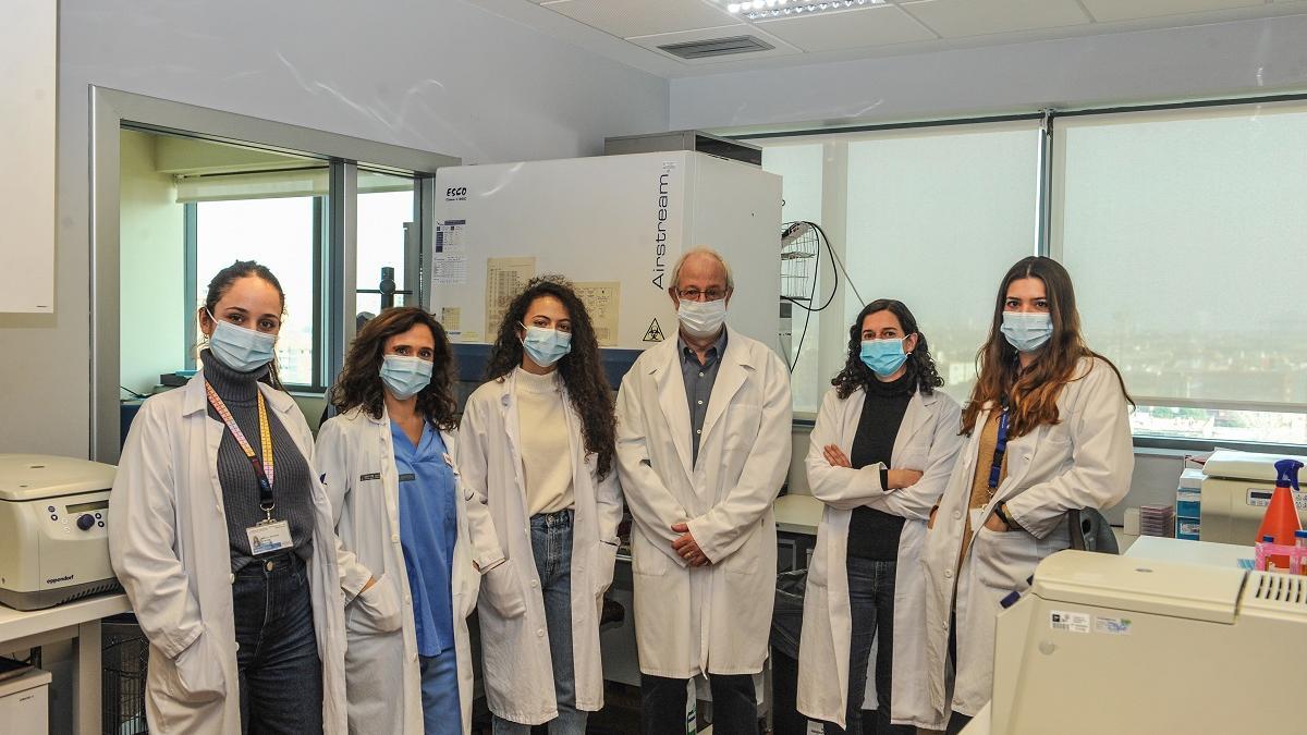 Equipo de investigadores desarrollador del sistema.