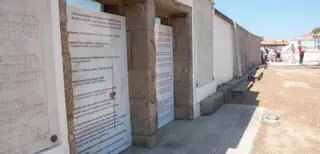 Nuevos vencejos en el jardín de San Carlos de A Coruña
