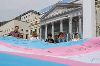 El colectivo LGTBI hace una demostración de fuerza en el Congreso, pero el PSOE falta a la foto