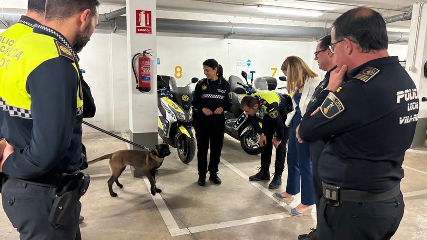 Almassora se fija en Vila-real para crear una patrulla canina en la Policía Local