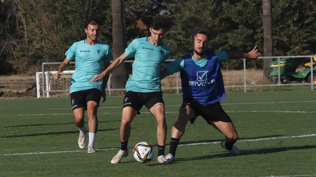 Omar Perdomo pugna con Luismi en la sesión de entrenamiento de hoy del Córdoba CF en la Ciudad Deportiva.