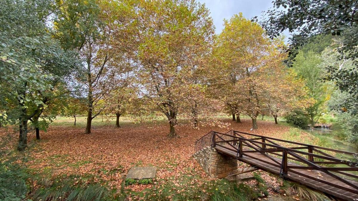 El otoño es toda una explosión de color
 en Tuéjar. |  L-EMV