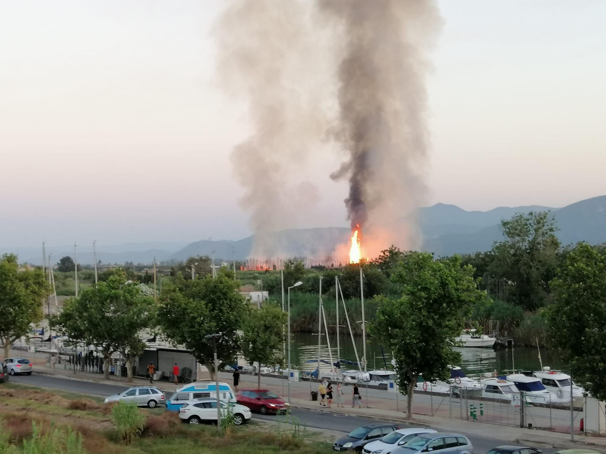 Una gran columna de humo levanta las alarmas por dos incendios declarados en un palmeral de Cullera