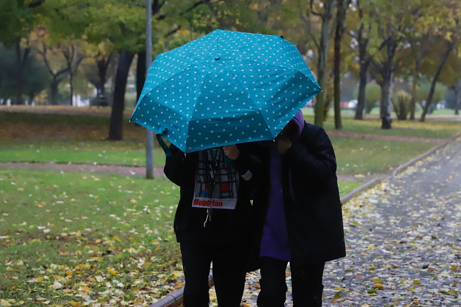 Las imágenes de la jornada de lluvias en la capital cordobesa