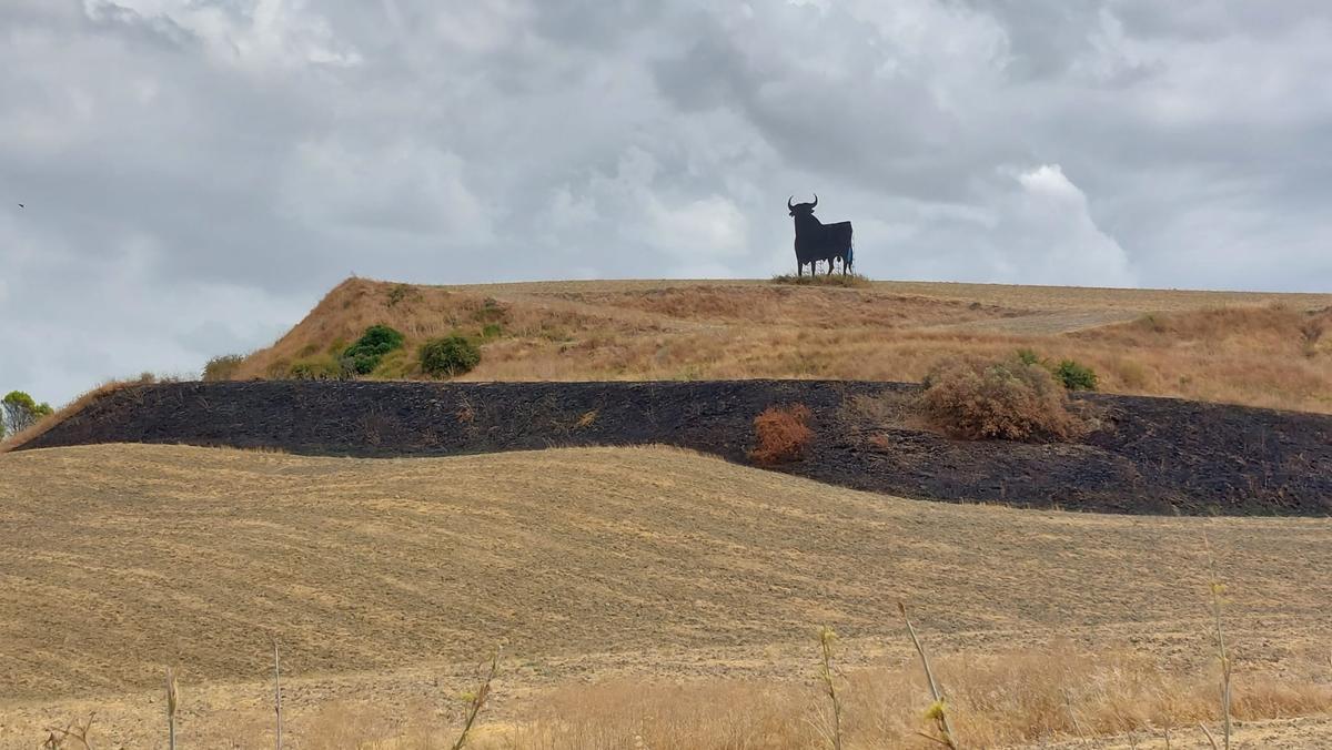 Franja de terreno afectada por el fuego junto a la A 4 en la Cuesta del Espino, este jueves.
