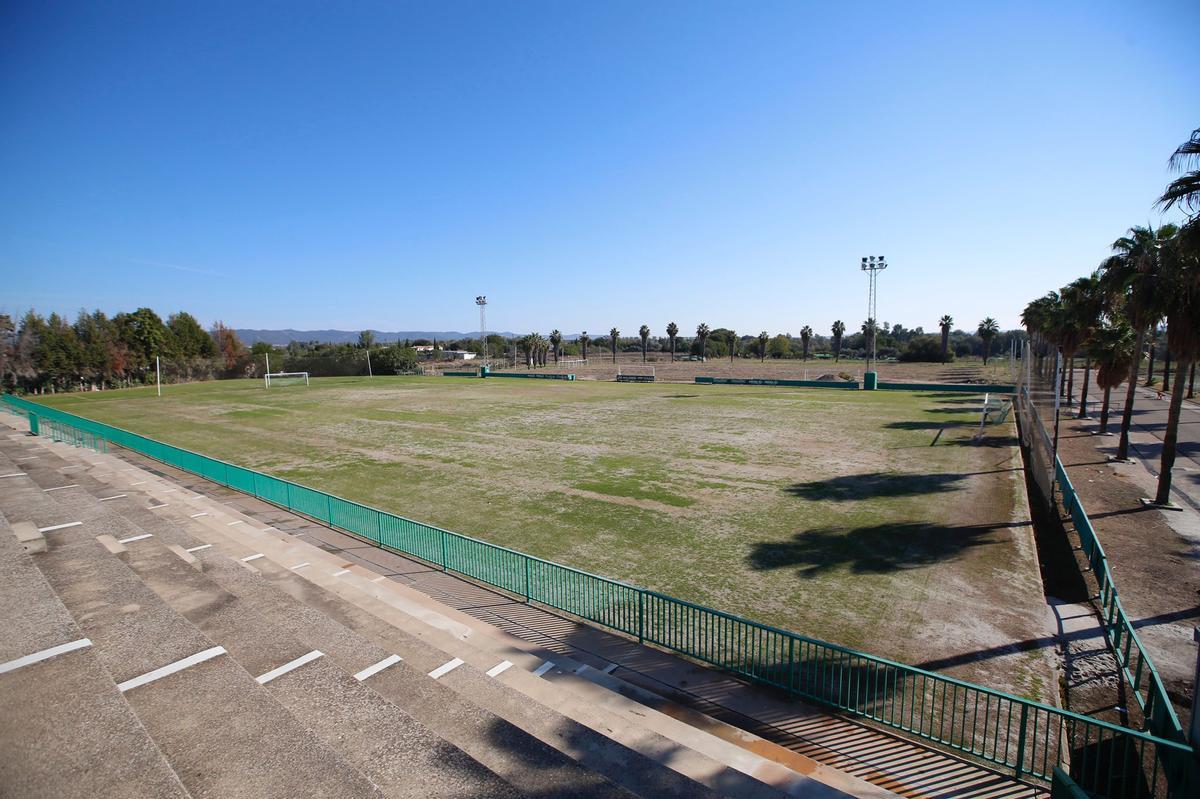 Vista del campo 1 de la Ciudad Deportiva del Córdoba CF, esta semana, con el crecimiento visible de la hoja.