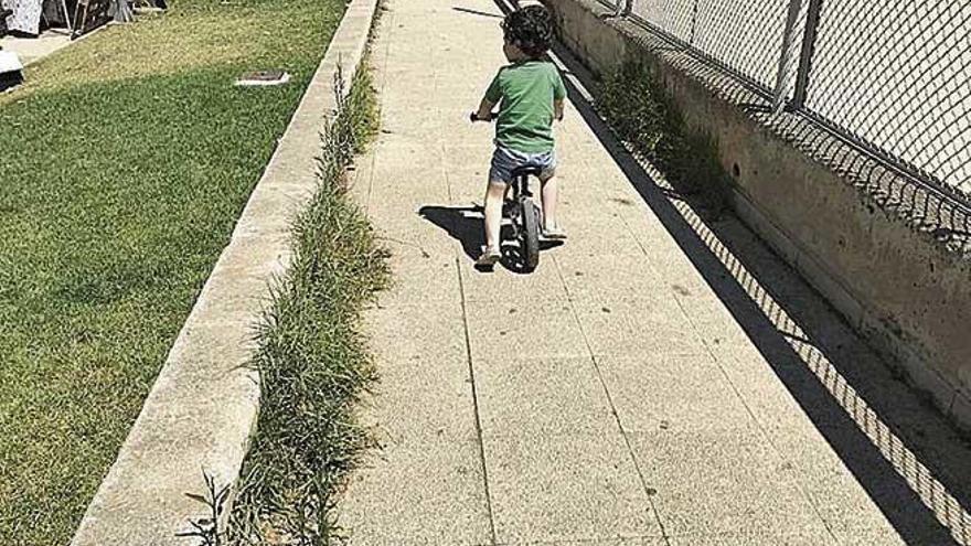 Hierbajos en la plaza de los Patines.