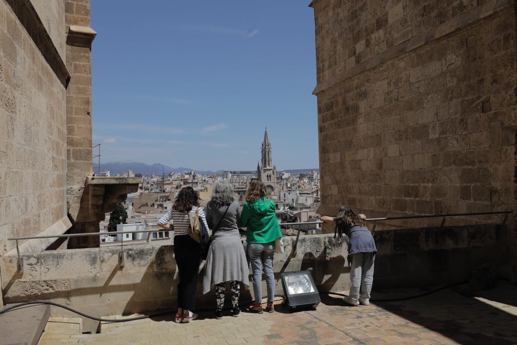 Vuelven las visitas a las terrazas de la Catedral de Mallorca