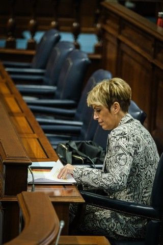 Última sesión del pleno del Parlamento de Canarias, 27/07/2022