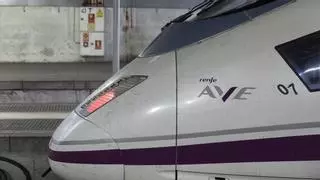 Renfe se fija en los mercados internacionales para crecer en los próximos cinco años