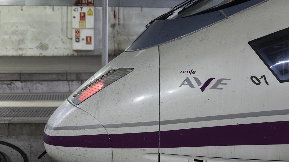 Tren de alta velocidad AVE estacionado en Sants.