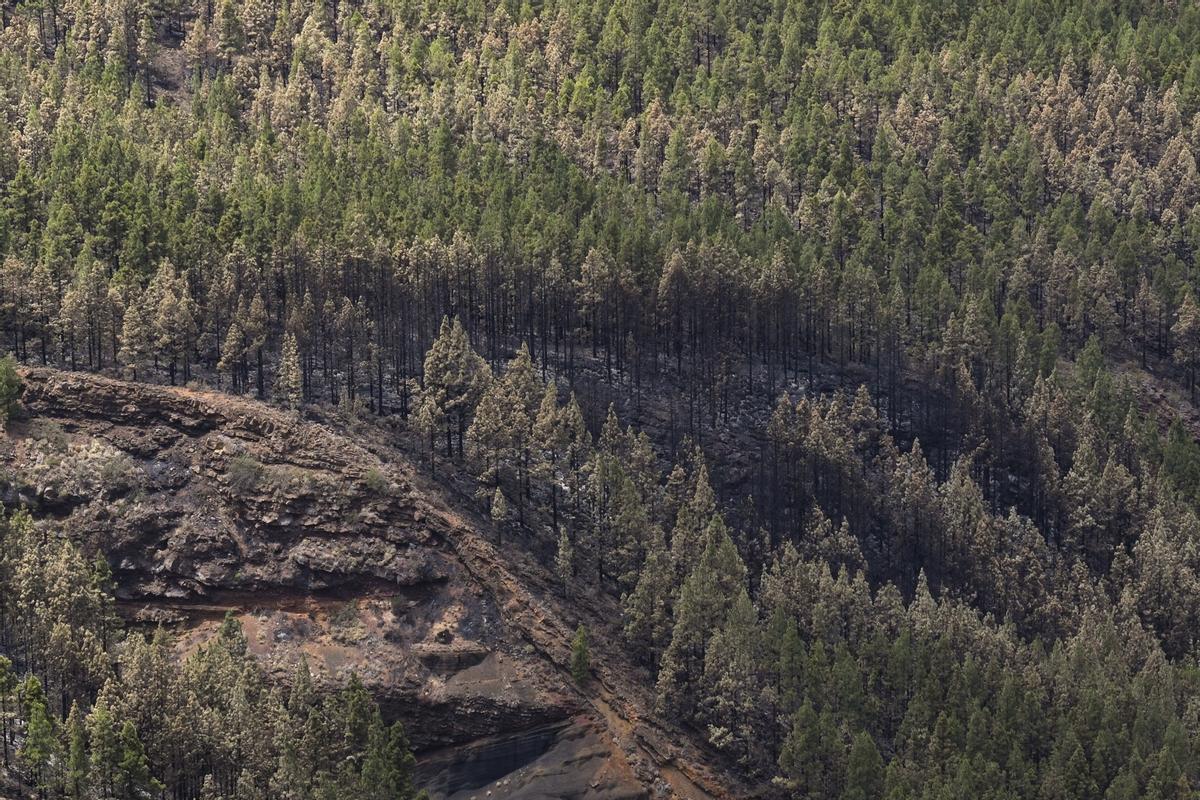 Estabilizado el incendio de Tenerife