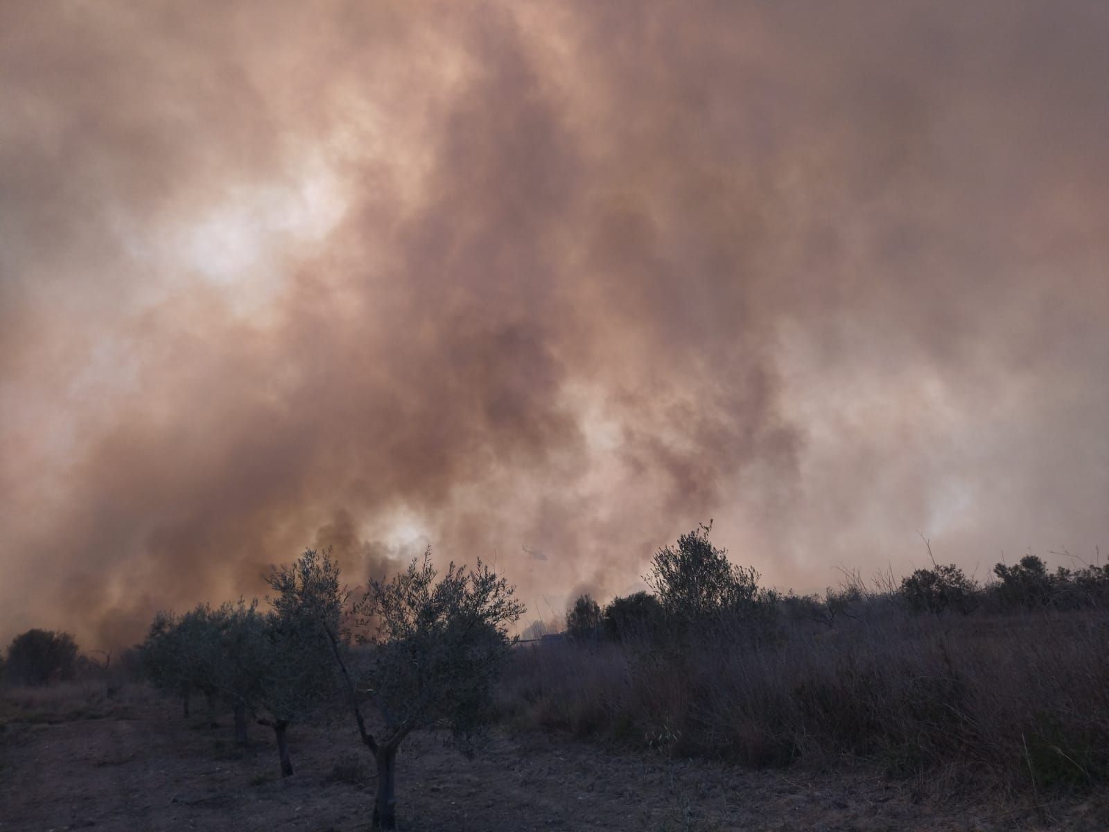 Declarado un incendio en el barranco de la Hiedra en Xàbia, cerca del Montgó