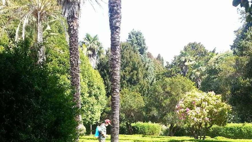 Zona precintada del pazo de Mariñán por labores de fumigación.